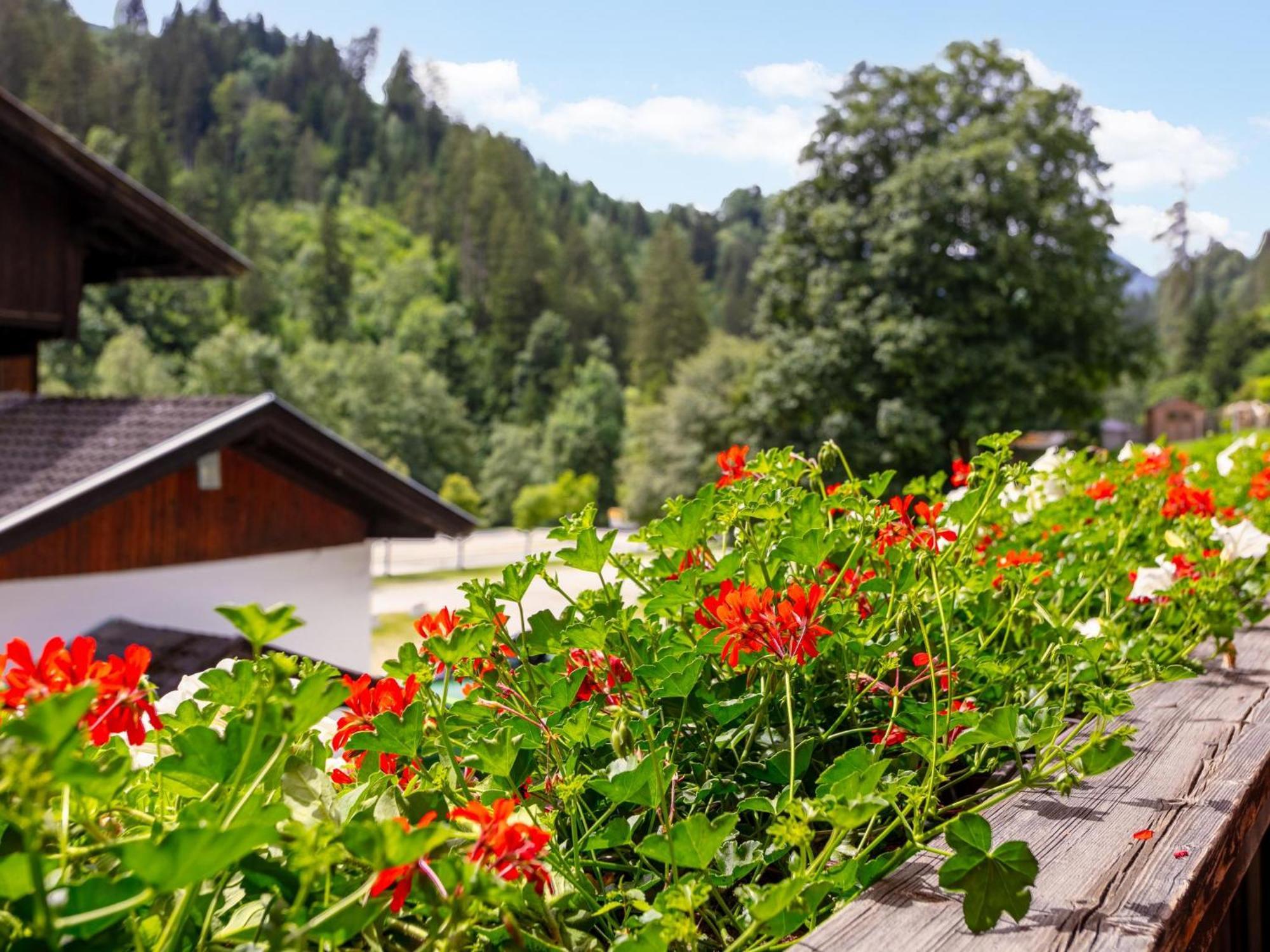 Zellner Top 3 Appartement Alpbach Buitenkant foto